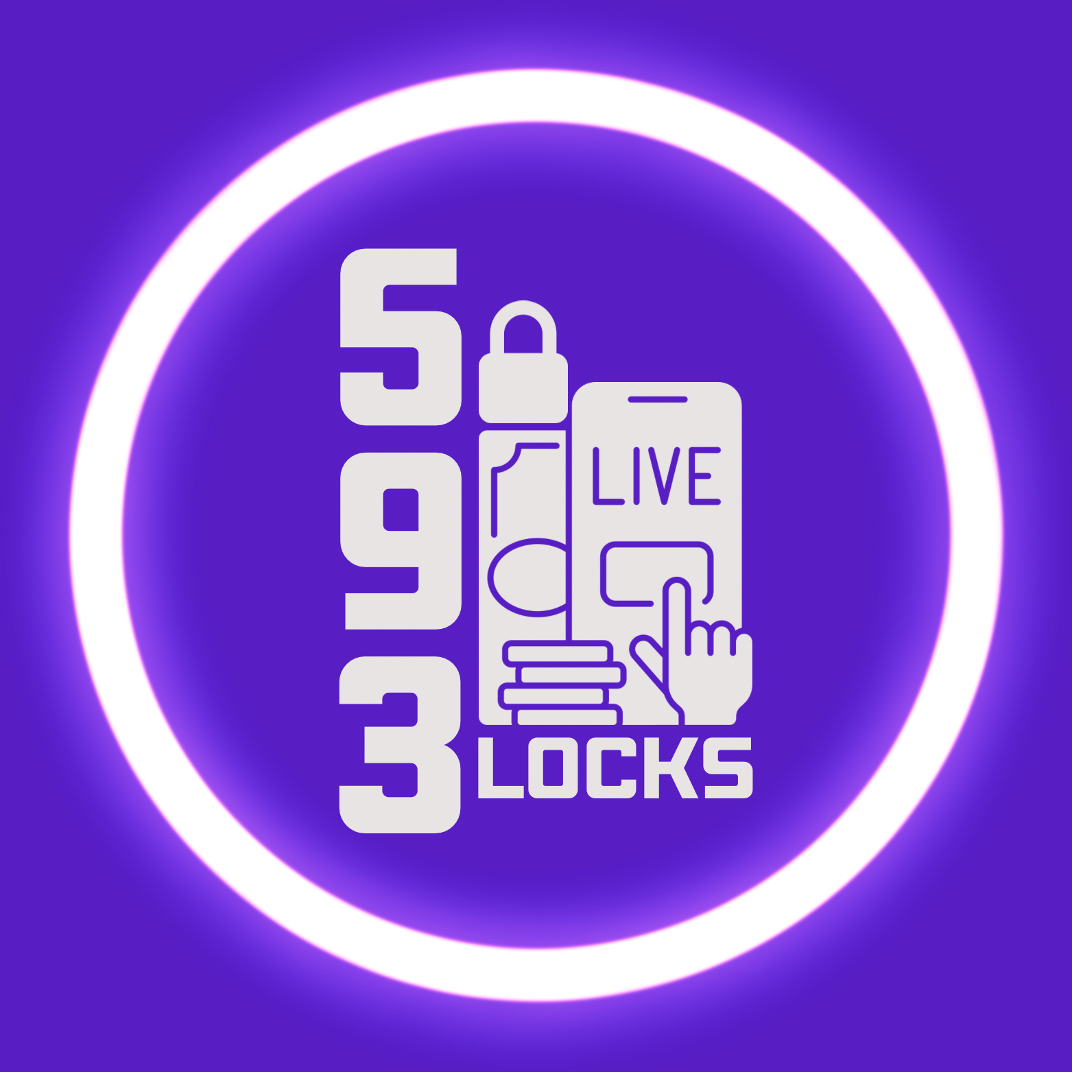593Locks