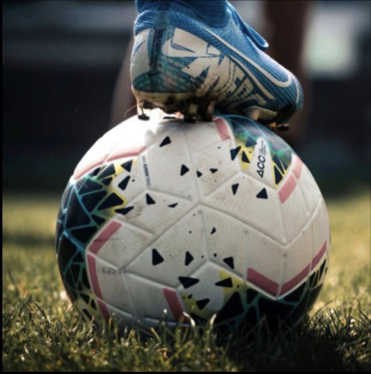 Betwaveofficialpicks