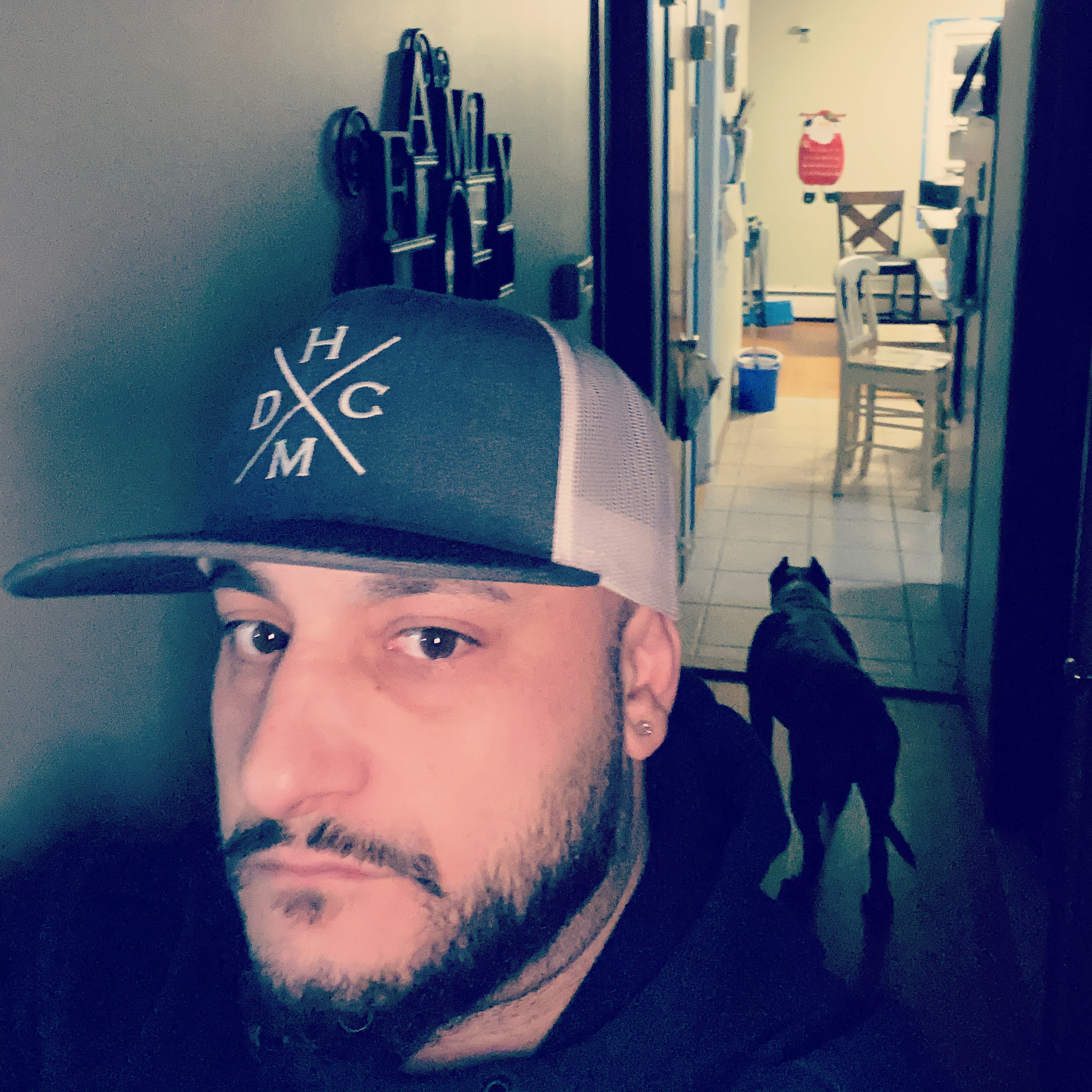 ElevatedLays