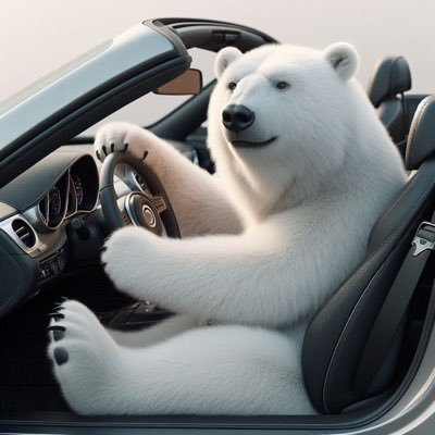 BearBetz
