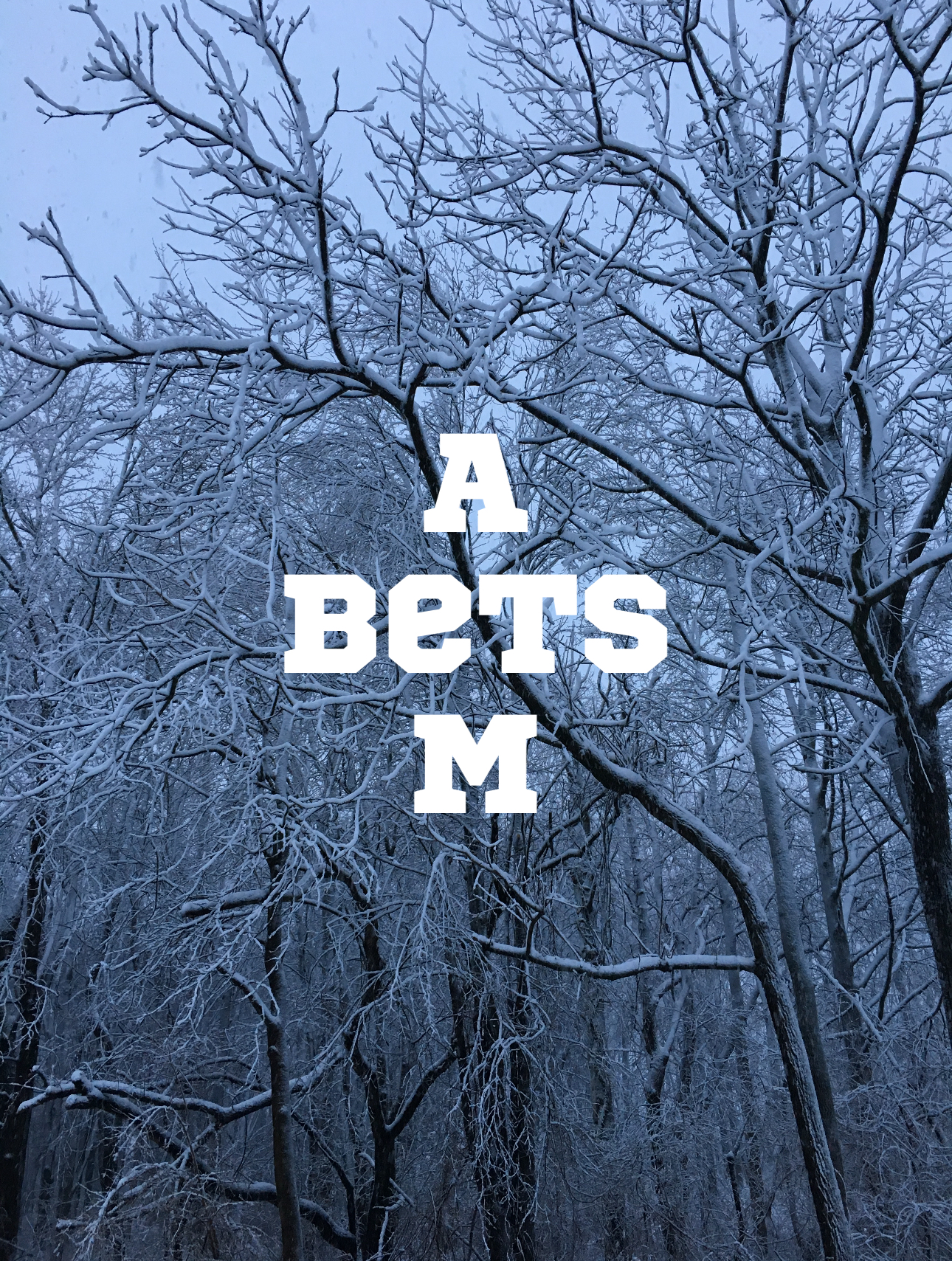 AMBets